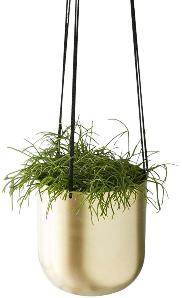 Brass Pot for Plant