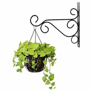 Side Stand for Plant