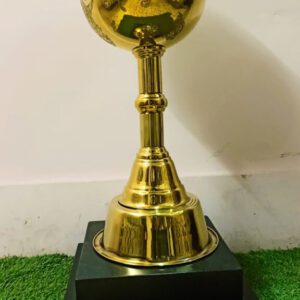 World Trophies | Gold Globe Awards | Globe Awards |Shop now